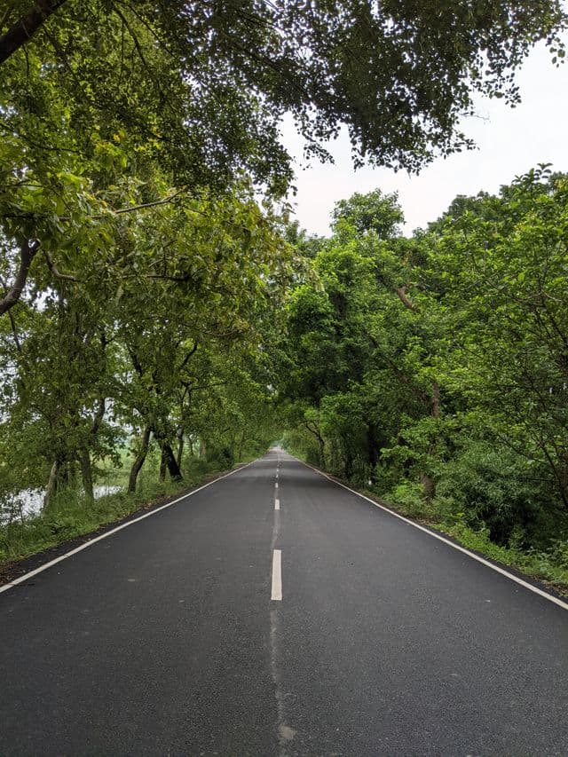 Long Drive
