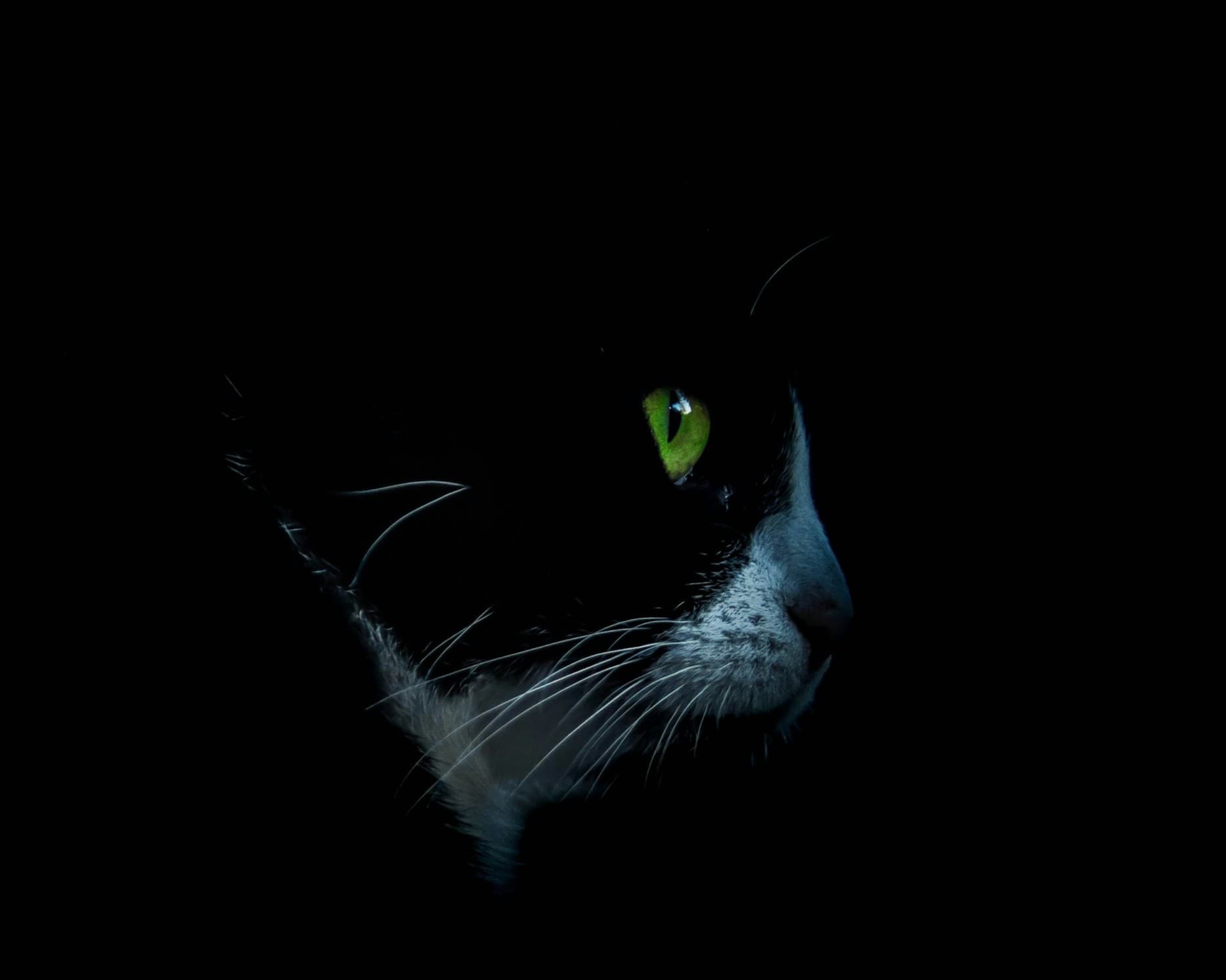 Pointer Image 3